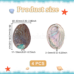 Украшение из натуральной раковины морского ушка&nbsp;LS-FIND-WH0817-038A