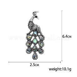 Брошь в виде ракушки павлина&nbsp;PW-WG0977F-01