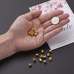 Железный шарик крышки&nbsp;IFIN-TA0001-07G