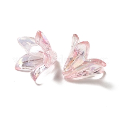 Прозрачные колпачки акриловая бисера OACR-H016-05H