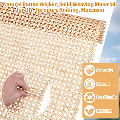 Osier en rotin naturel&nbsp;AJEW-WH0410-271C