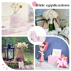 Полиэфирные ленты SRIB-WH0011-354A