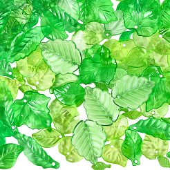 540pcs 12 Arten transparente Acrylanhänger&nbsp;OACR-PA0001-50