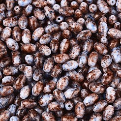 Спрей роспись стекла бисер&nbsp;SEED-T007-14C