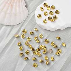 Preciosa® maxima кристалл круглые камни&nbsp;X-PRC-RBSS29-10020