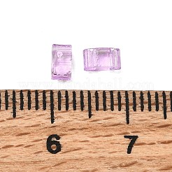 Прозрачные стеклянные бусы с 2 отверстием SEED-S023-30B-26