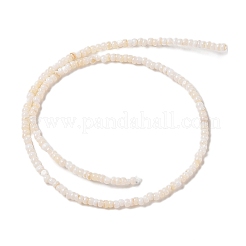 Natürlichen Süßwasser-Muschelperlen Stränge&nbsp;X-SHEL-P017-01B-02