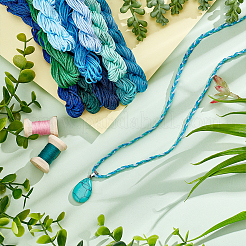 10 пачка 10-х цветных нейлоновых китайских узловязальных шнуров NWIR-PH0002-06B-02