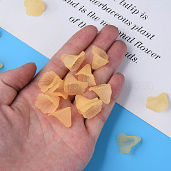 Прозрачные акриловые бусины PL551-C30