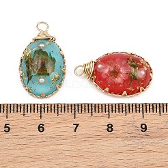 真鍮製の樹脂ペンダント  楕円形のチャーム  ドライフラワーとABS樹脂製の模造パールを使用  ミックスカラー  26.5x14x6.5mm  穴：3.5mm&nbsp;RE-CBA591C-01G