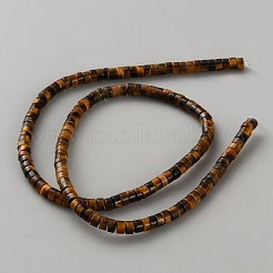 Tigre naturale filoni abaco occhio tallone&nbsp;G-WH0044-01B