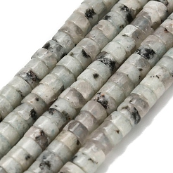 Натуральный кунжут яшма / киви нитки бусины яшмы G-Z110-A04-2x4mm