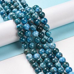 天然石アパタイトビーズ連売り  グレードAB  ラウンド  8mm  穴：1mm  約25~26個/連  7.68インチ&nbsp;X-G-S333-8mm-031A