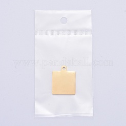 Pendentifs en acier inoxydable 304&nbsp;LS-STAS-I140-23B-G