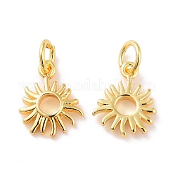 Латунь подвески X-KK-G418-24G