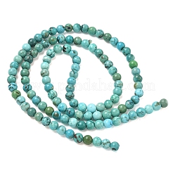 Natur hubei türkisfarbenen Perlen Stränge&nbsp;G-P629-D01-01