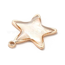 Латунь эмаль подвески&nbsp;KK-K252-10G-08