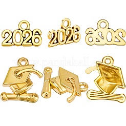 100 pièces 2 styles pendentifs en alliage&nbsp;FIND-SC0021-89AG