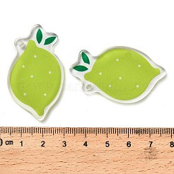 Непрозрачные печатные акриловые подвески OACR-I020-06C