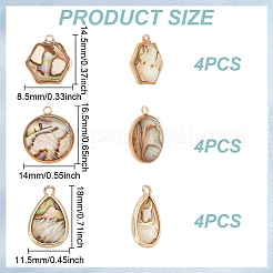 12 шт. 3 стиля подвески из натуральной смолы из ракушек пауа KK-GO0001-82
