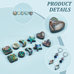 10 шт. 5 набора бусин из натуральной ракушки абалон/ракушки пауа SSHEL-NB0001-43