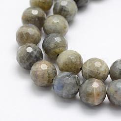 Perline labradorite naturale fili&nbsp;G-P322-32-4mm