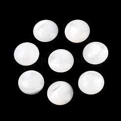 Натуральные белые бусины из ракушек SSHEL-B006-03