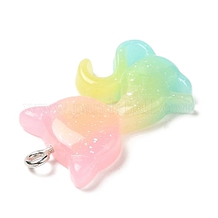 Подвески из полупрозрачной смолы RESI-G069-03C