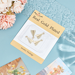 Латунные подвески с покрытием 6шт&nbsp;KK-BBC0012-57