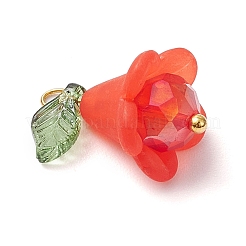 6 шт. подвески из акрила и стекла PALLOY-TA00192