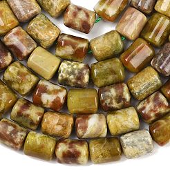 Натуральный дракон яшма кровь бисер пряди G-S396-03C