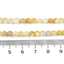 Fili di perline di conchiglia trochus naturale&nbsp;BSHE-H109-12B