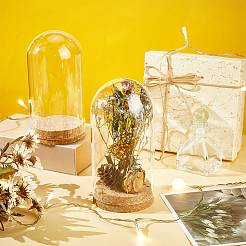 Стеклянный купол AJEW-WH0083-47B