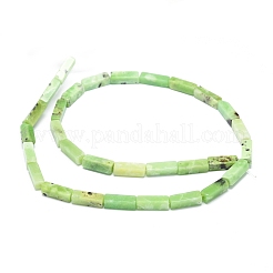 Природные серпантину нитей бисера G-G974-05