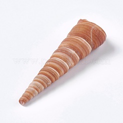 天然の巻き貝  魚水族館の装飾  ビーチコンチャシーシェルクラフト  キャメル  30~95x7~19mm&nbsp;DIY-WH0097-01