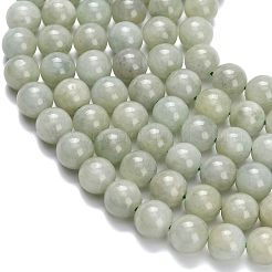 Натуральный майяр нефрит / бурманский нефрит бисерные пряди G-L642-B11-8mm