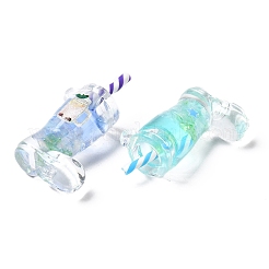 Прозрачные акриловые подвески&nbsp;OACR-M005-01