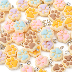 40 шт. 5 цвета непрозрачные подвески из смолы RESI-CJ0002-31