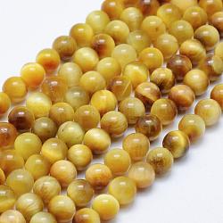 Natürlichen Tigerauge Perlen Stränge, Runde, 6 mm, Bohrung: 1 mm, ca. 61~63 Stk. / Strang, 14.9 Zoll (38 cm)