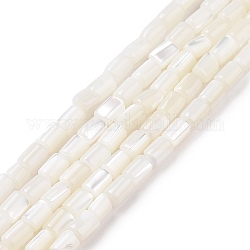 Fili di perline di conchiglia trochus naturale, tinto, colonna, bianco, 5x3mm, Foro: 0.8 mm, circa 82~83pcs/filo, 15.63'' (39.7 cm)