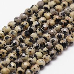 Natur Dalmatiner Jaspis Perlen Stränge, facettiert, Runde, 4 mm, Bohrung: 1 mm, ca. 96 Stk. / Strang, 14.9 Zoll ~ 15.1 Zoll