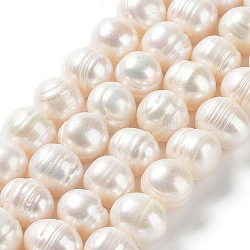 Hebras de perlas de agua dulce cultivadas naturales, patata, Grado A, blanco antiguo, 9.5~12.5x8.5~10.5mm, agujero: 0.5 mm, aproximamente 35 pcs / cadena, 13.94'' (35.4 cm)