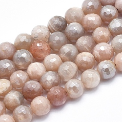 Electroplate Natural Sunstone Beads Strands, Faceted, Round, 8mm, Hole: 1mm, about 50pcs/strand, 15.7 inch