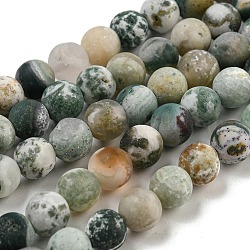 Albero naturale agata agata smerigliato perle della pietra preziosa rotonda fili, 6mm, Foro: 1 mm, circa 64pcs/filo, 15.5 pollice