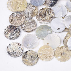Encantos naturales de conchas de akoya, Colgantes de concha de madreperla, plano y redondo, bronceado, 10x1mm, agujero: 1.5 mm