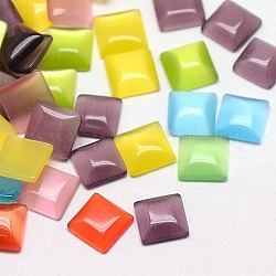 Cat Eye Cabochons, Square, Mixed Color, 10x10x2.5mm