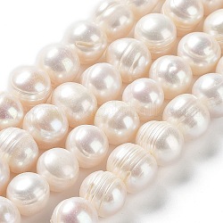 Fili di perle di perle d'acqua dolce coltivate naturali, patata, grado a, bianco antico, 8.5~12x9.5~11mm, Foro: 0.5 mm, circa 35pcs/filo, 13.86'' (35.2 cm)