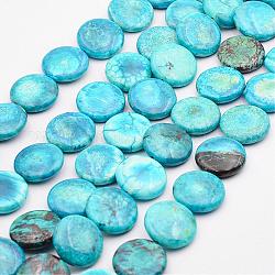 Natural Variscite Bead Strands, Flat Round, 20x5mm, Hole: 1mm, about 20pcs/strand, 15.7 inch