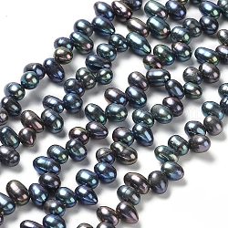 Hebras de perlas de agua dulce cultivadas naturales, teñido, arroz, azul de Prusia, 6~7x4~5mm, agujero: 0.5 mm, aproximamente 71 pcs / cadena, 14.65'' (37.2 cm)