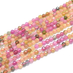 Natürlichen Turmalin Perlen Stränge, facettiert, Runde, 2.5~3 mm, Bohrung: 0.6 mm, ca. 153~162 Stk. / Strang, 15.35 Zoll (39 cm).